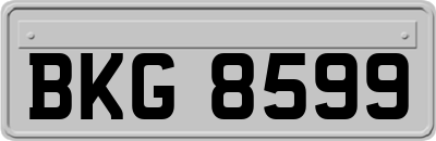 BKG8599