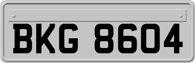 BKG8604