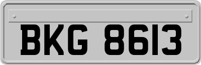 BKG8613