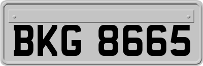 BKG8665