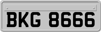 BKG8666