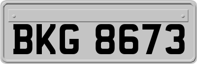 BKG8673