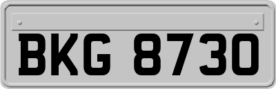 BKG8730