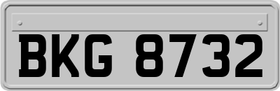 BKG8732