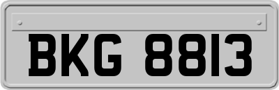 BKG8813