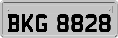 BKG8828