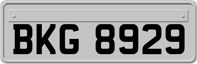 BKG8929
