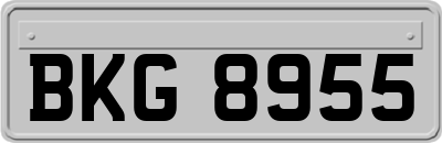 BKG8955