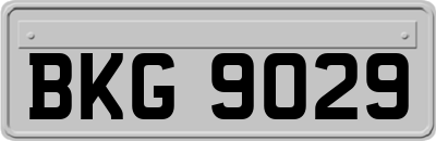 BKG9029