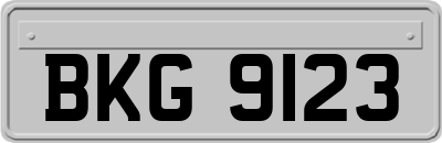 BKG9123