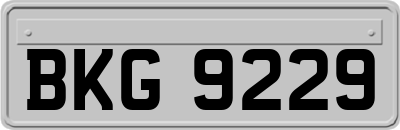 BKG9229