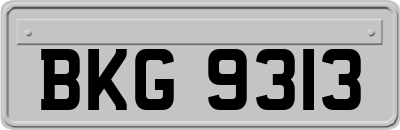 BKG9313