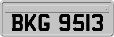 BKG9513