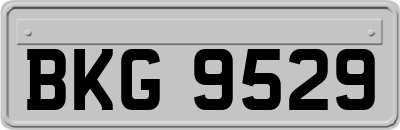 BKG9529