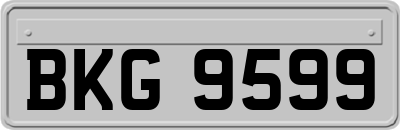 BKG9599