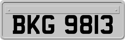 BKG9813