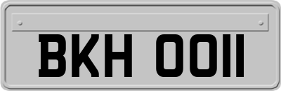 BKH0011