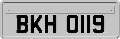 BKH0119