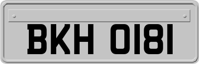 BKH0181