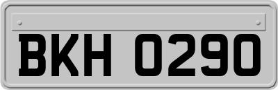 BKH0290