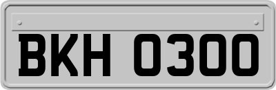 BKH0300