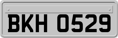 BKH0529
