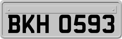 BKH0593