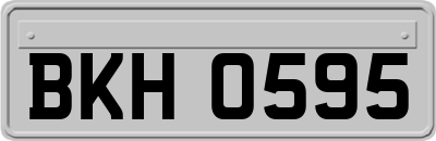 BKH0595