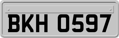 BKH0597