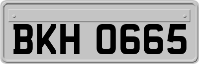 BKH0665