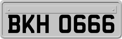 BKH0666