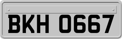 BKH0667