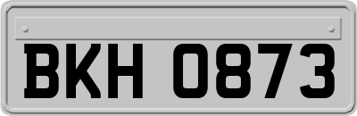 BKH0873