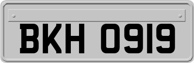 BKH0919