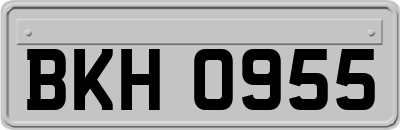 BKH0955