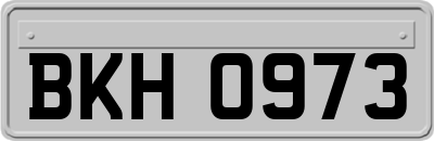 BKH0973