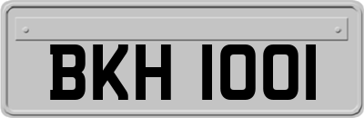 BKH1001