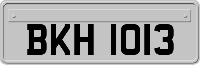 BKH1013