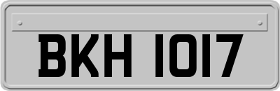 BKH1017
