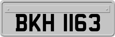 BKH1163