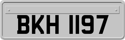 BKH1197
