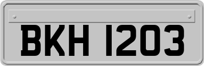 BKH1203