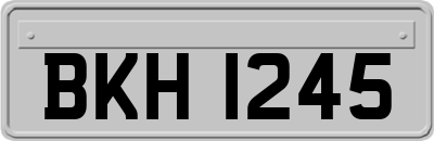 BKH1245