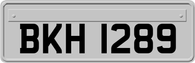 BKH1289