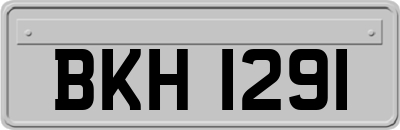 BKH1291