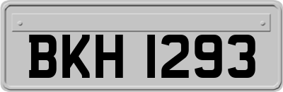 BKH1293