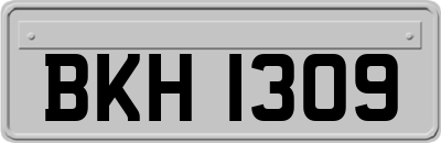 BKH1309