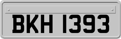 BKH1393