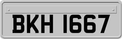 BKH1667