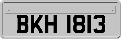 BKH1813